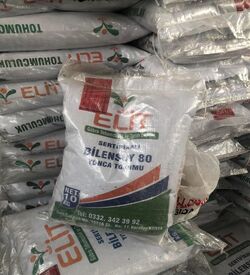 Bilensoy 80  10-Kg Paket