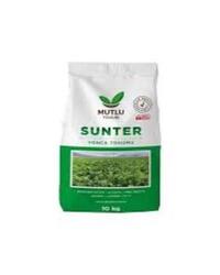 Sunter Yonca Tohumu 10 Kg
