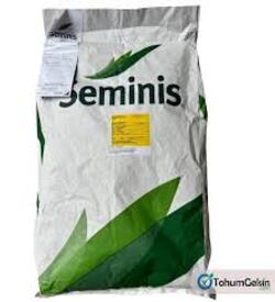 Bourgondia Fasulye Tohumu Oturak Geleneksel 10 Kg