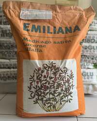 Emiliano Yonca Tohumu