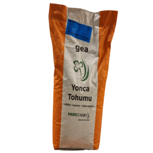 GEA YONCA TOHUMU (KAPSIZ) 10 KG