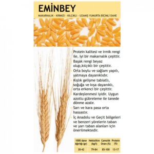 Eminbey buğday tohumu [makarnalık]