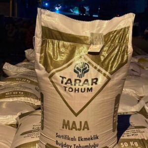 Maja buğday tohumu  [ekmeklik]
