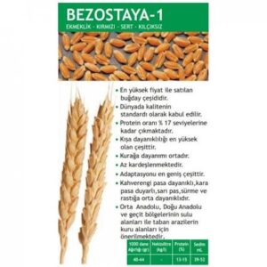 Bezostaya-1 [ekmeklik]