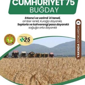 Cumhuriyet 75 [ekmeklik]