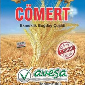 Cömert buğday Tohumu [ekmeklik]