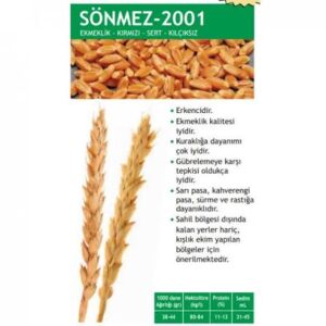 Sönmez 2001 Bugday Tohumu [ekmeklik]