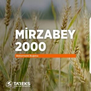 Mirzabey 2000 Bugday Tohumhu [ekmeklik]