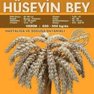 Hüseyinbey buğday tohumu  [ekmeklik]