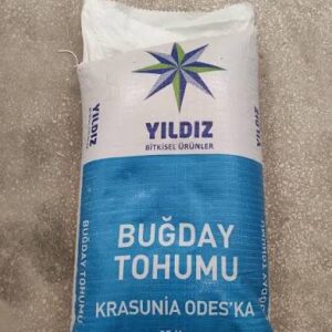 Odeska buğday tohumu [ekmeklik]