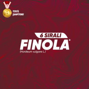 Finola Arpa Tohumu [6 Sıralı]