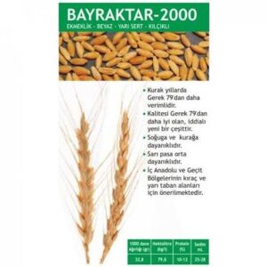 Bayraktar 2000 Sertifikalı Bugday Tohumu [ekmeklik]