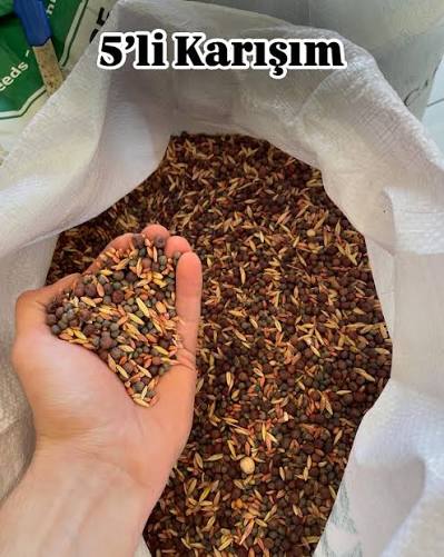 5'li Karışım Yem Bitkisi Tohumu